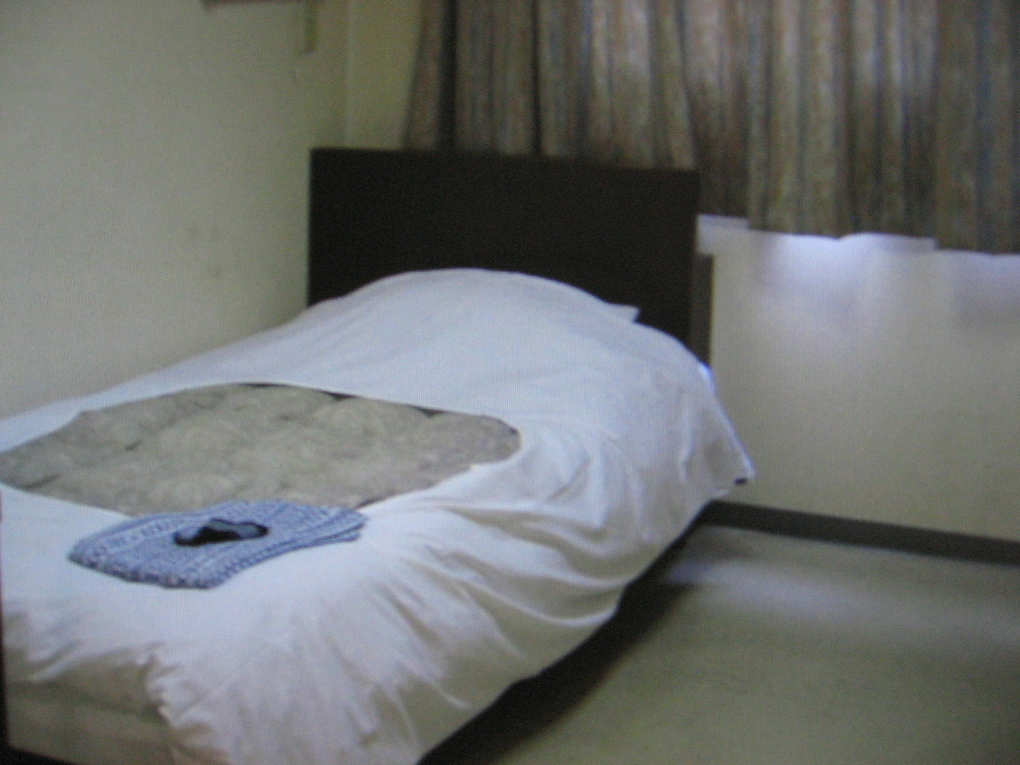 Business Hotel Shinsuma Hekinan Exterior photo